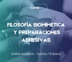 FILOSOFÍA BIOMIMÉTICA Y PREPARACIONES ADHESIVAS